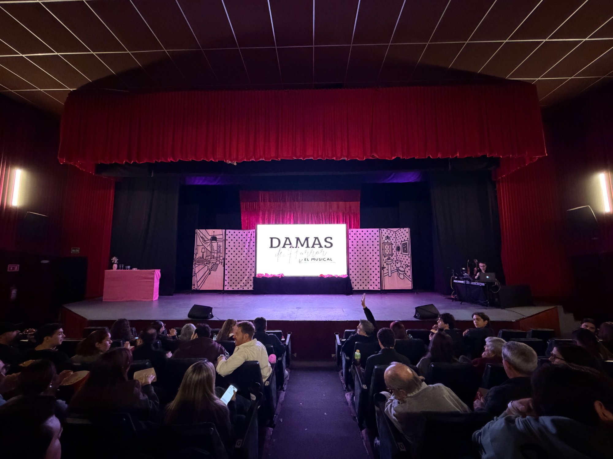 Damas de Titanium — El Musical en Teatros Versalles
